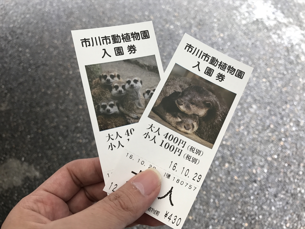 ichikawa-zoo1-6