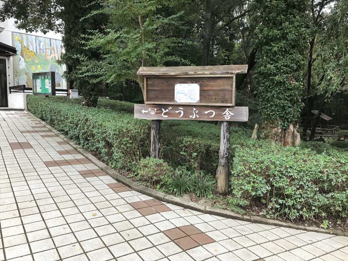 ichikawa-zoo1-8